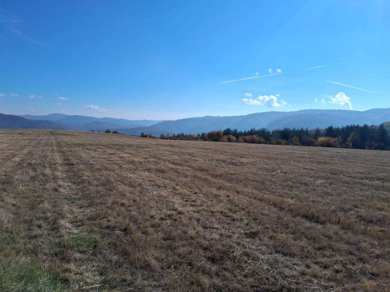 Парцел (УПИ), с.Кокаляне, 3100 м²